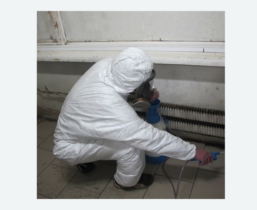обработка магазина от covid-19 в Рогачёво