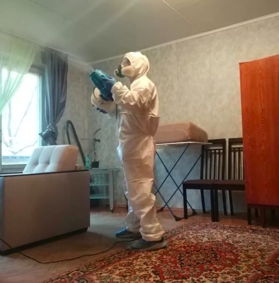 дезинсекция квартиры в Рогачёво